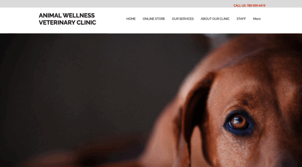 animalwellnessvetclinic.com