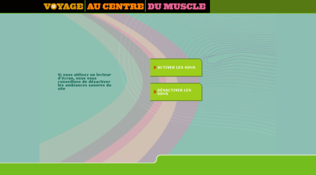 animation-muscle.afm-france.org