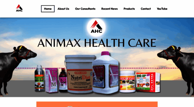 animaxhealthcare.com