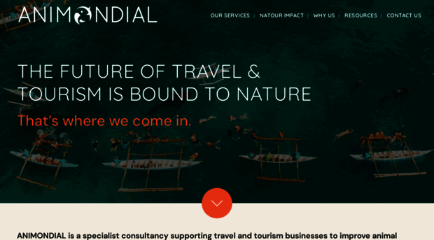 animondial.com