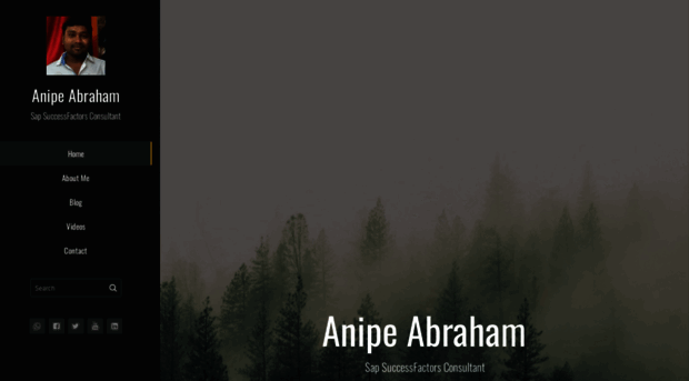 anipeabraham.com