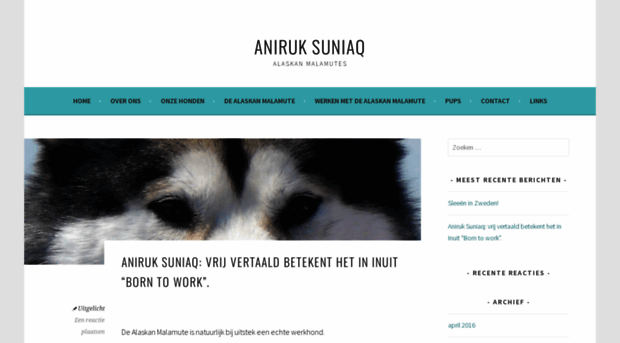 aniruksuniaq.wordpress.com