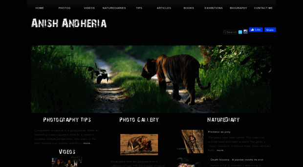 anishandheria.com