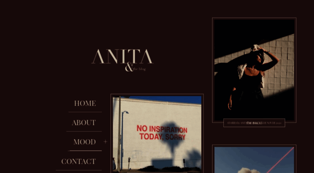 anitaandtheblog.com