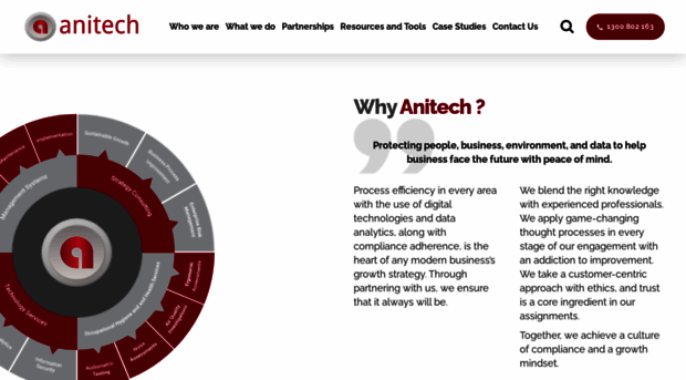 anitechgroup.com