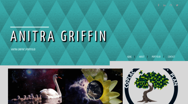 anitragriffin.com