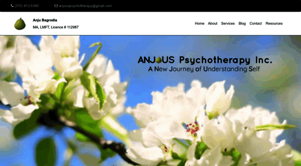 anjouspsychotherapy.com