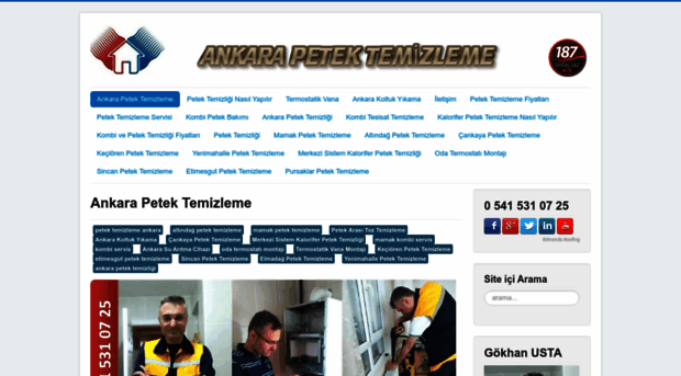 ankarapetektemizligi.com