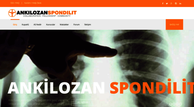 ankilozanspondilit.com