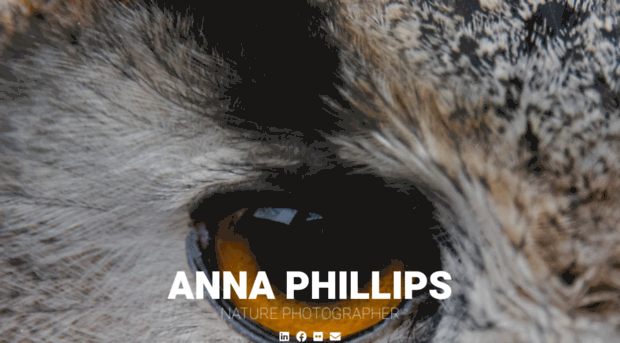 anna-phillips.com