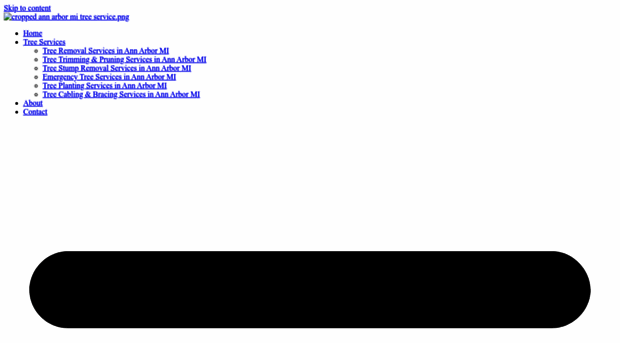 annarbormitreeservice.com