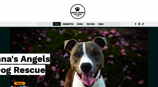 annasangelsdogrescue.org