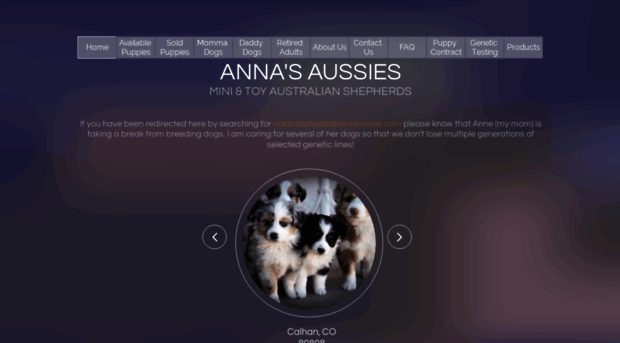 annasaussies.com