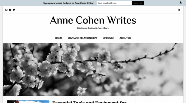 annecohenwrites.com