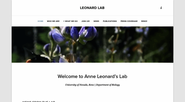 anneleonard.com