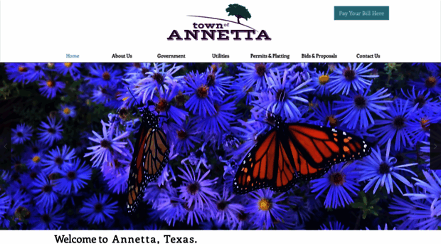 annettatx.org