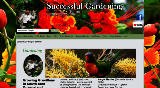 annettemcfarlane.com.au