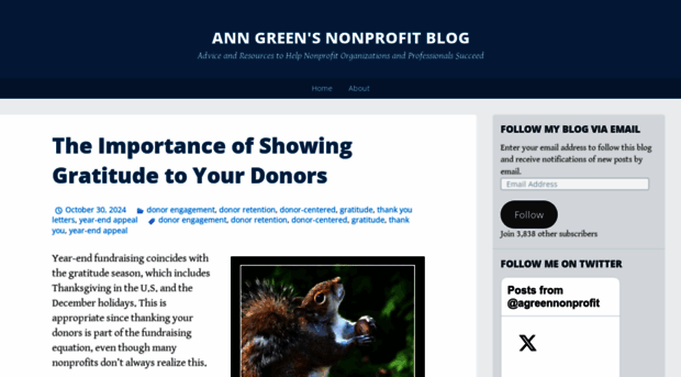 anngreennonprofit.com