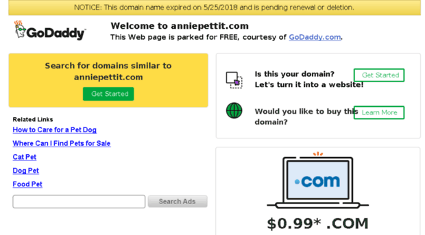 anniepettit.com