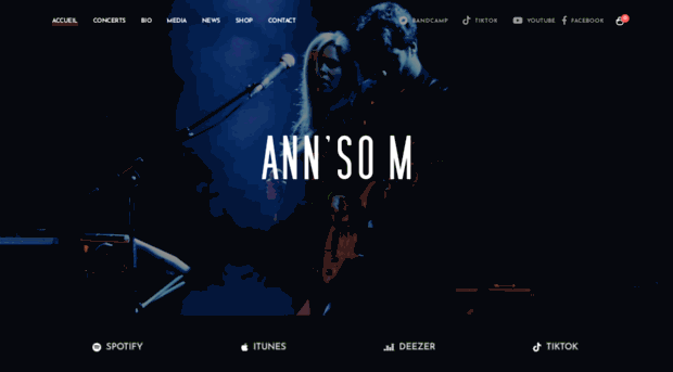 annsom.com