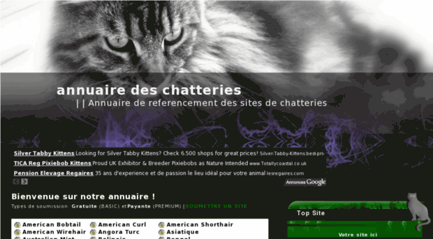 annuaire-chats.com