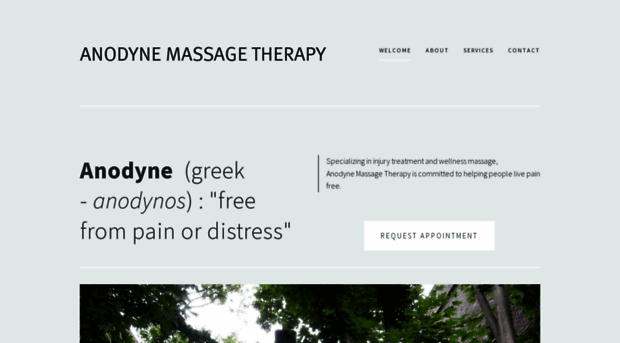 anodynemassage.com