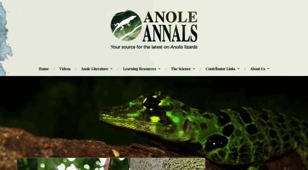 anoleannals.org