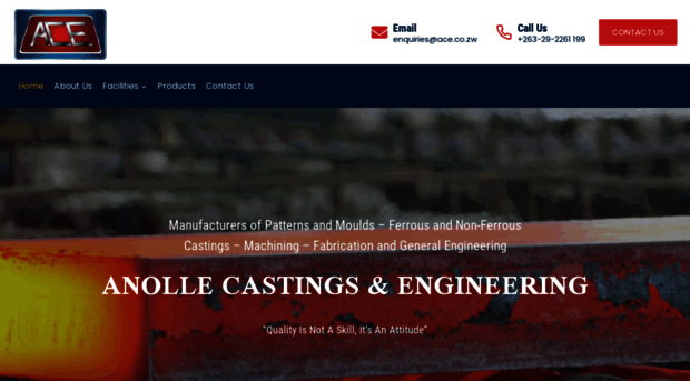 anollecastings.com