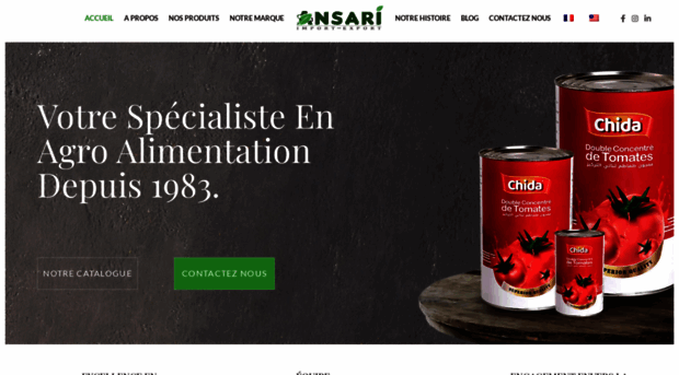 ansariexport.com