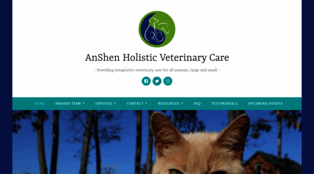 anshenvet.com