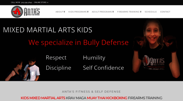 antamartialarts.com