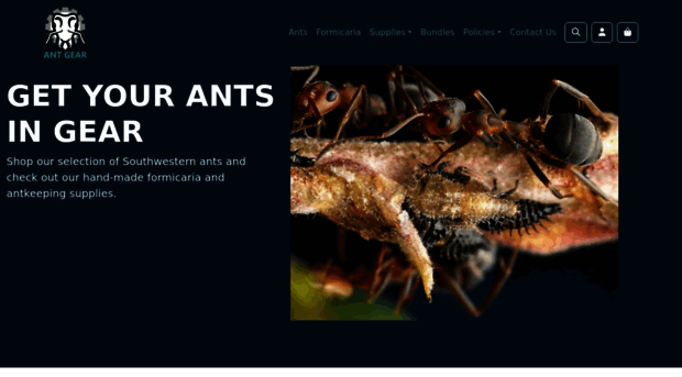 antgear.com