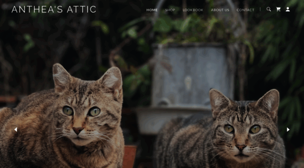 antheasattic.co.uk