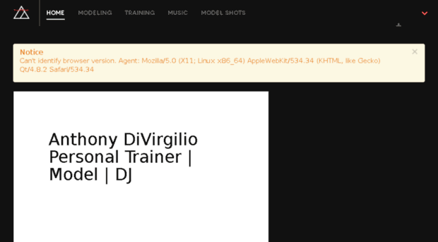 anthonydivirgilio.com