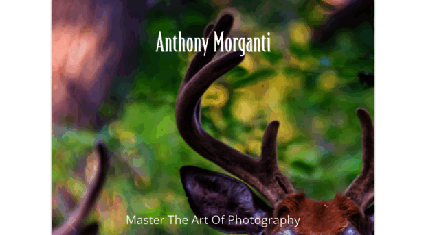 anthonymorganti.com