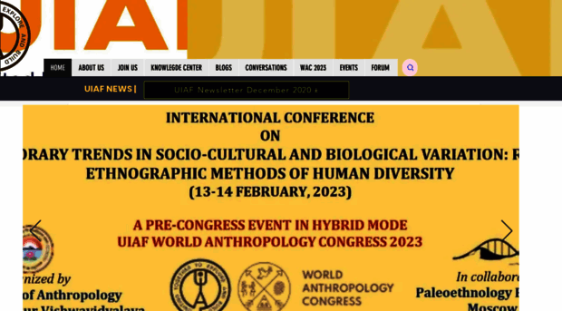 anthropologyindiaforum.org