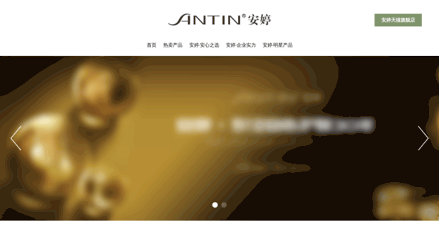 antin.cn