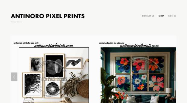 antinoropixelprints.com