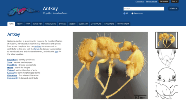 antkey.org