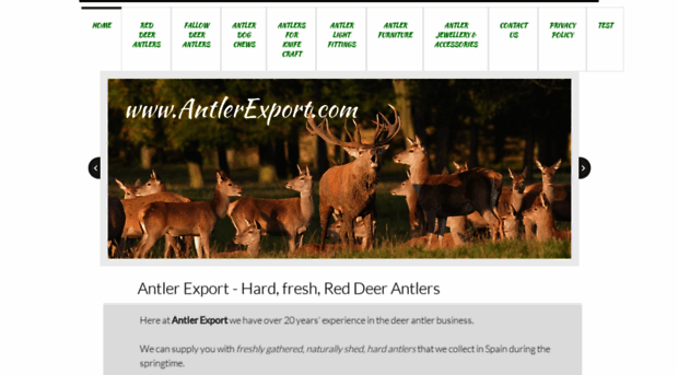 antlerexport.com