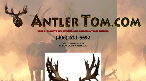 antlertom.com