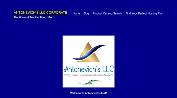 antonevichs.com