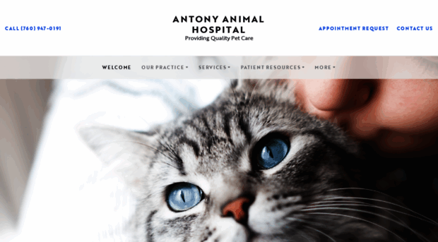 antonyanimalhospital.com