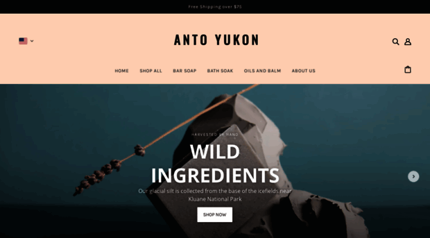 antoyukon.com