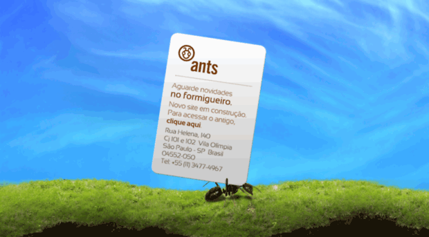 ants.com.br