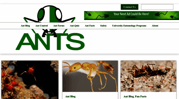 ants.com