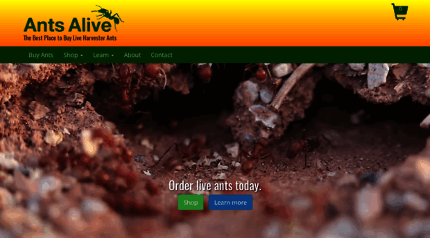 antsalive.com