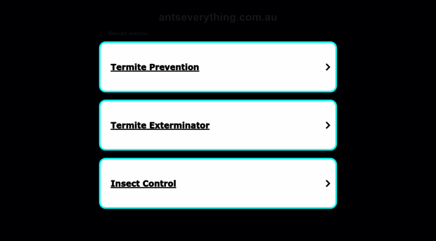 antseverything.com.au