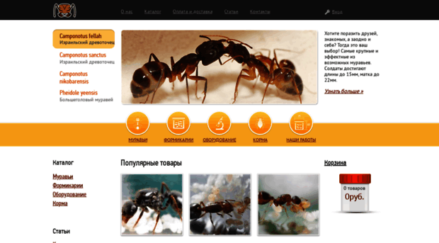 antshop.ru