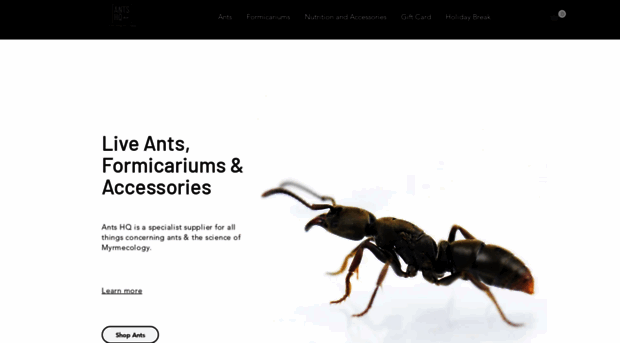 antshq.co.uk